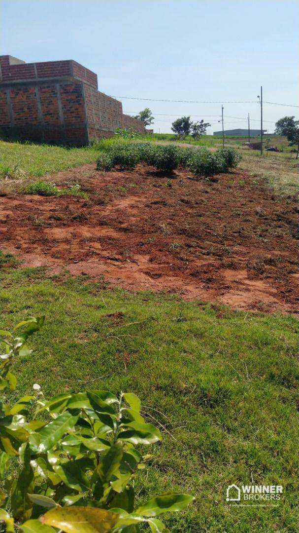 Terreno, 200 m² - Foto 2