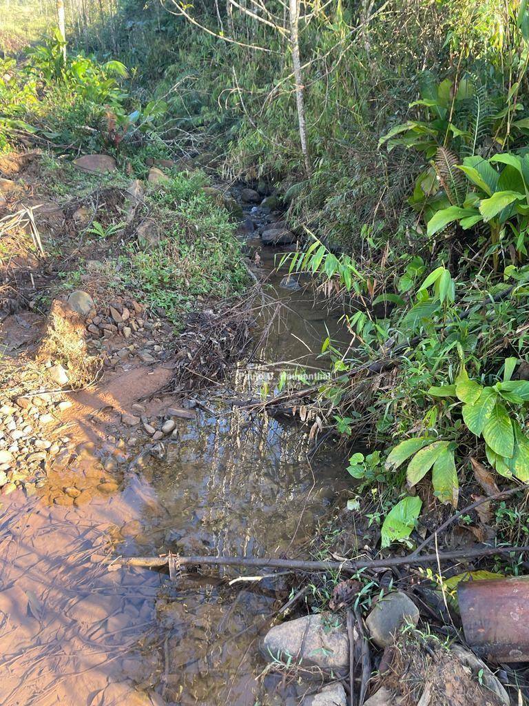 Terreno, 30 hectares - Foto 9