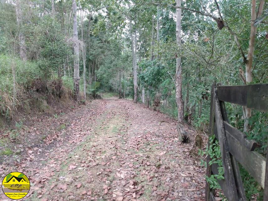 Fazenda à venda com 3 quartos, 30m² - Foto 2