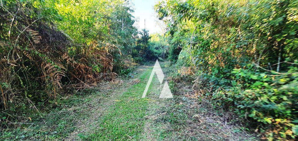 Terreno à venda, 4500M2 - Foto 24