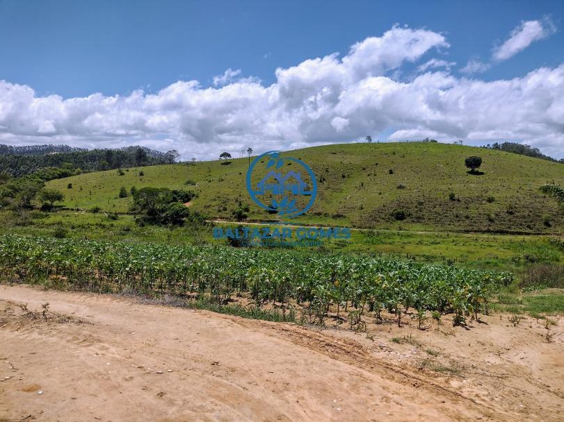 Fazenda à venda com 2 quartos, 5000m² - Foto 9