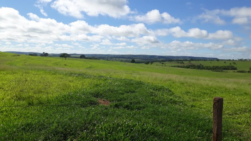 Fazenda à venda, 280m² - Foto 7