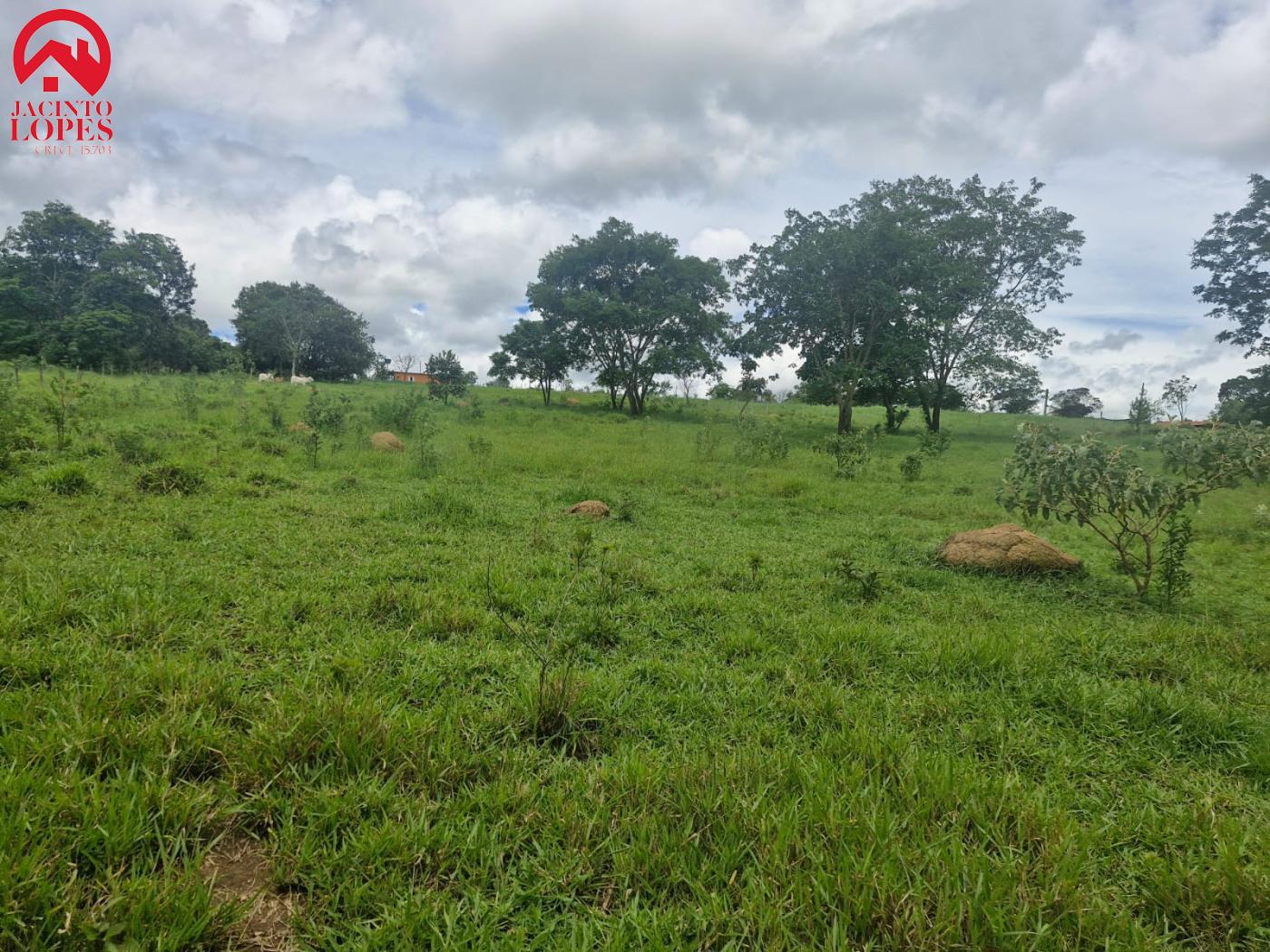 Fazenda à venda com 2 quartos, 120m² - Foto 52