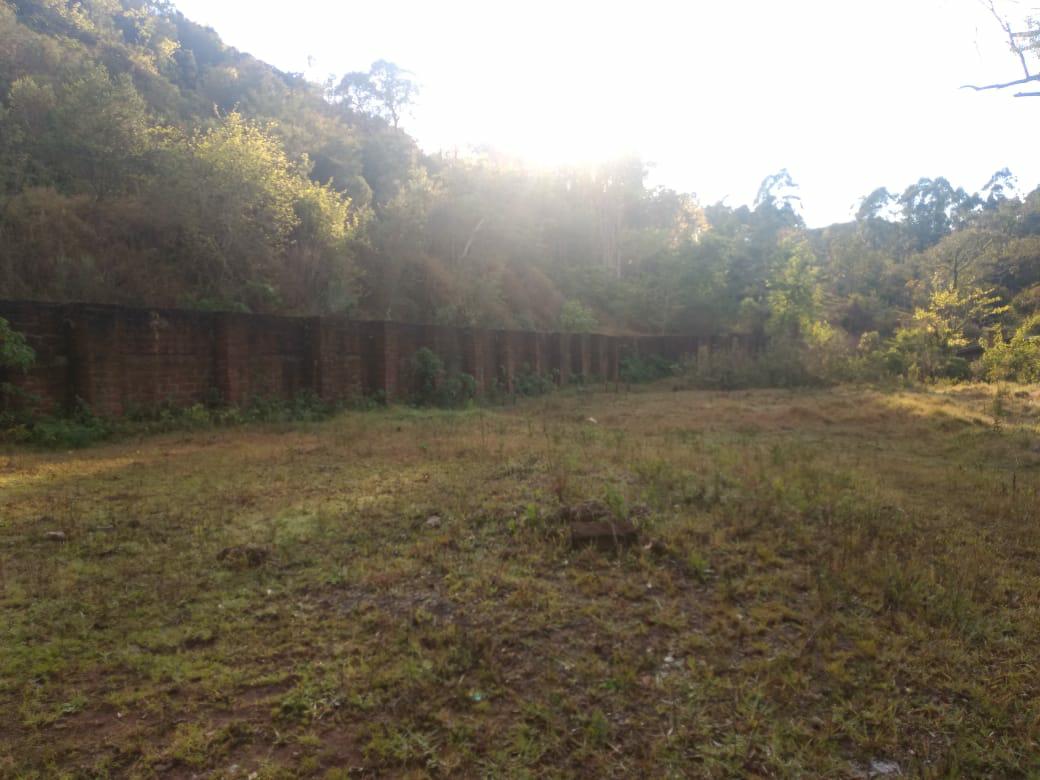 Sítio à venda com 1 quarto, 6000m² - Foto 29