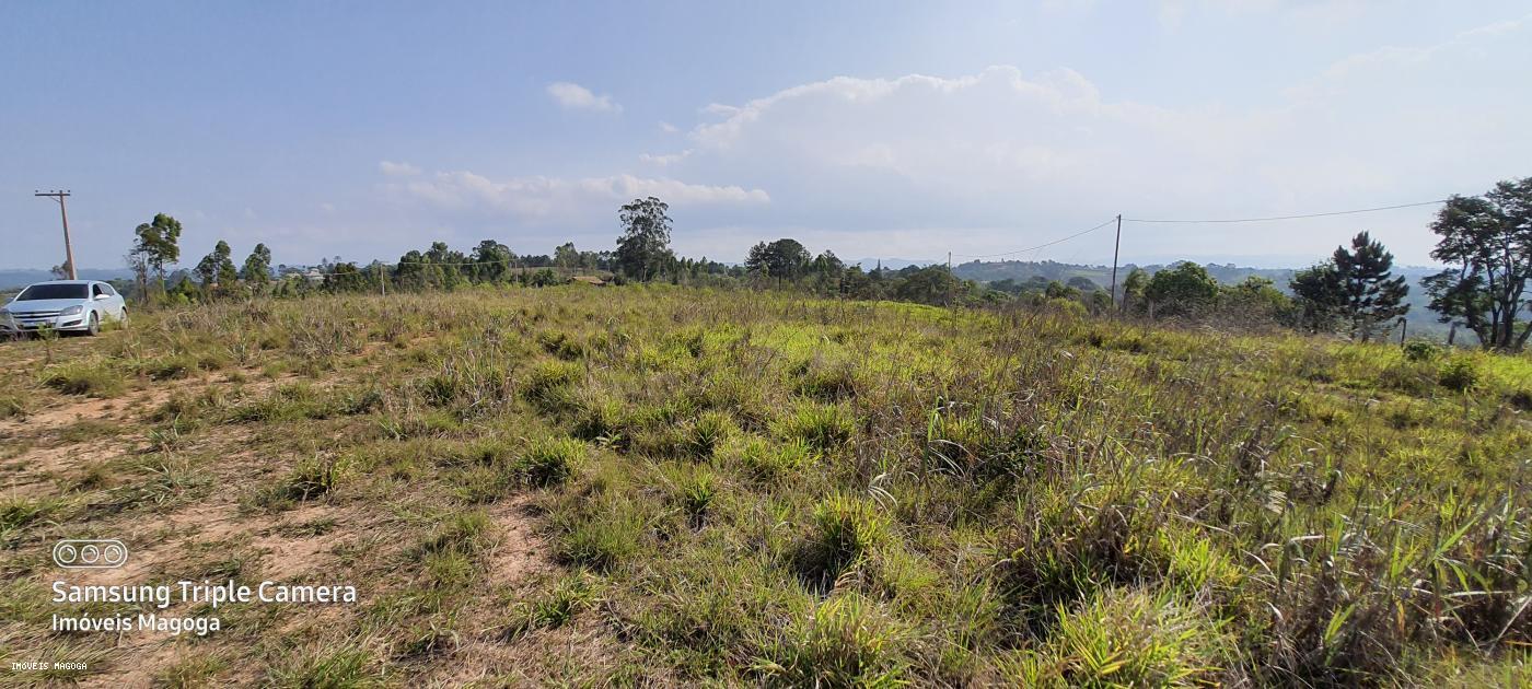 Fazenda à venda, 1000m² - Foto 12