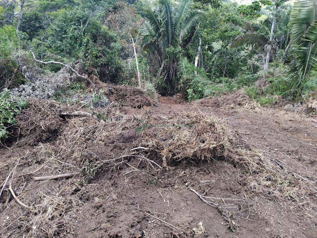 Terreno à venda, 23400M2 - Foto 10