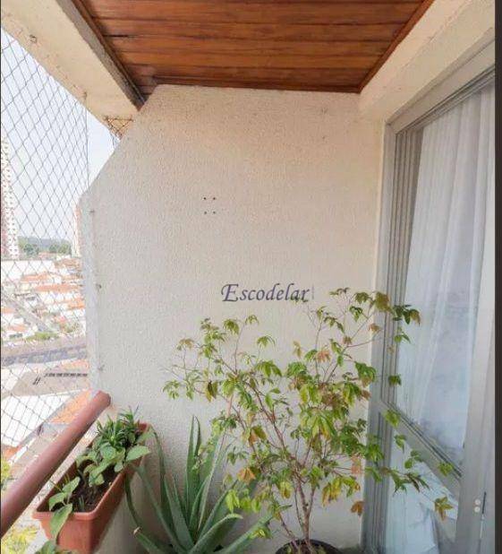 Apartamento à venda com 3 quartos, 66m² - Foto 21