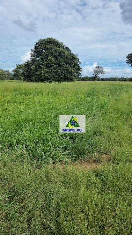 Fazenda à venda, 1766600M2 - Foto 16