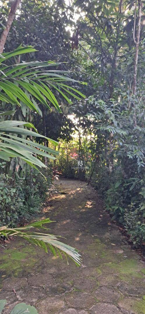 Sítio, 4 m² - Foto 6