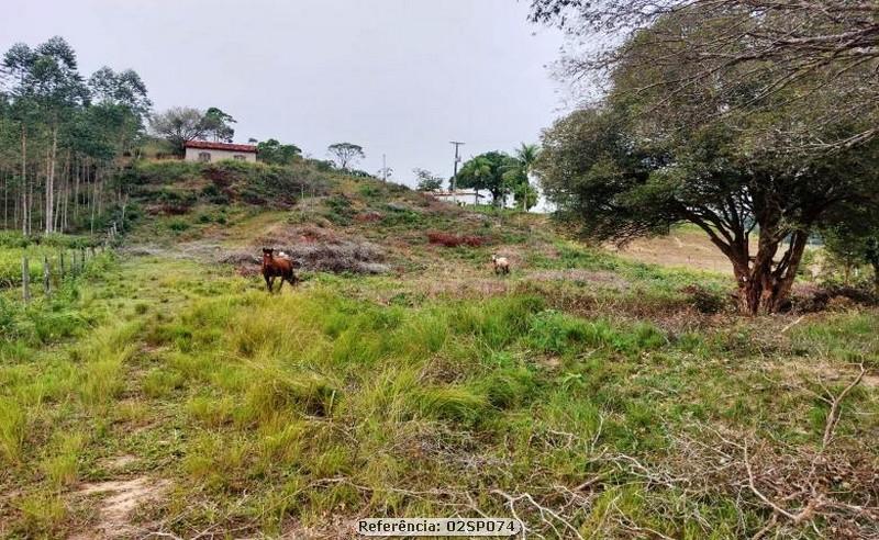 Fazenda à venda com 3 quartos, 41000m² - Foto 11