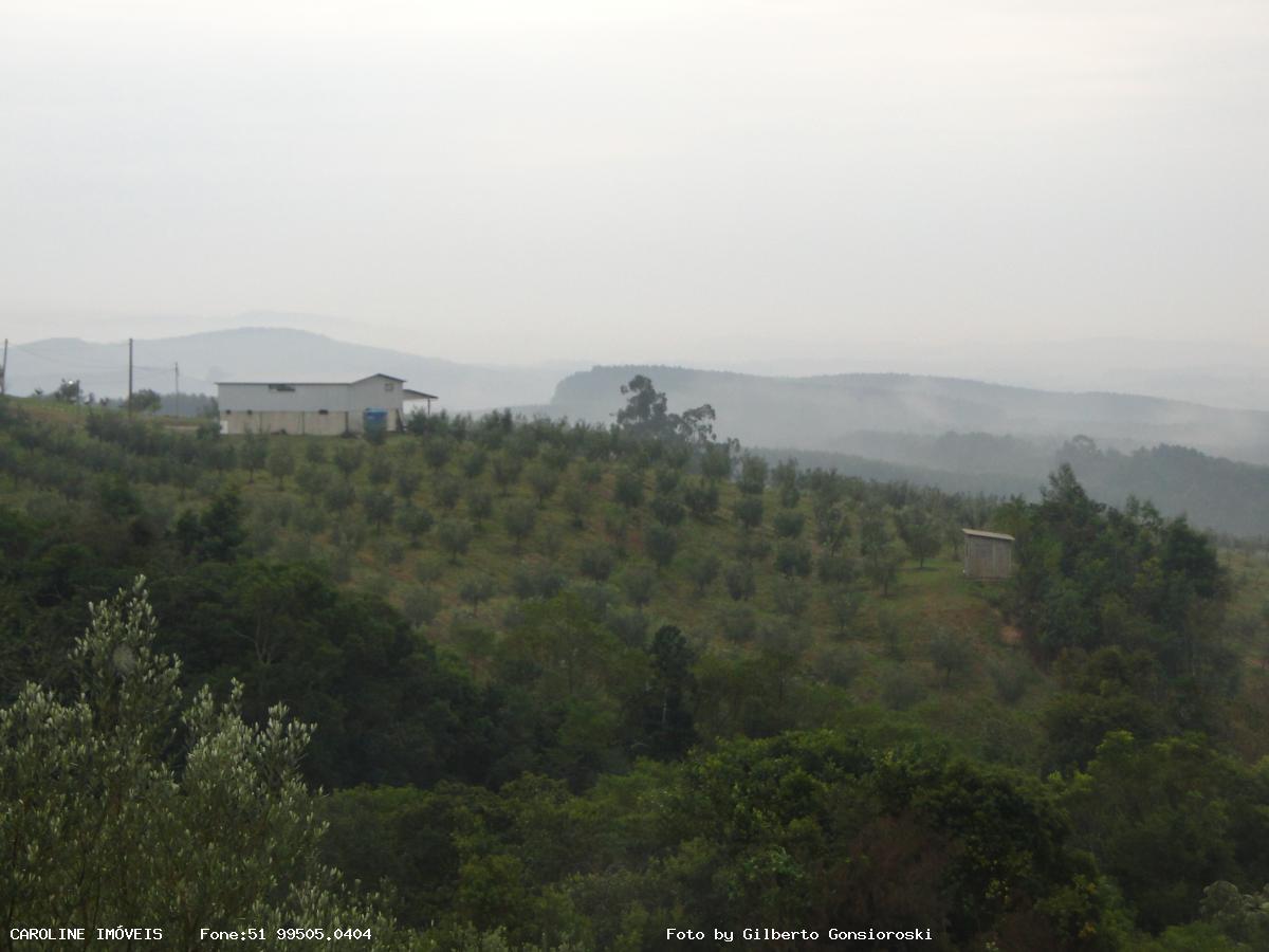 Fazenda à venda com 6 quartos, 493400m² - Foto 31