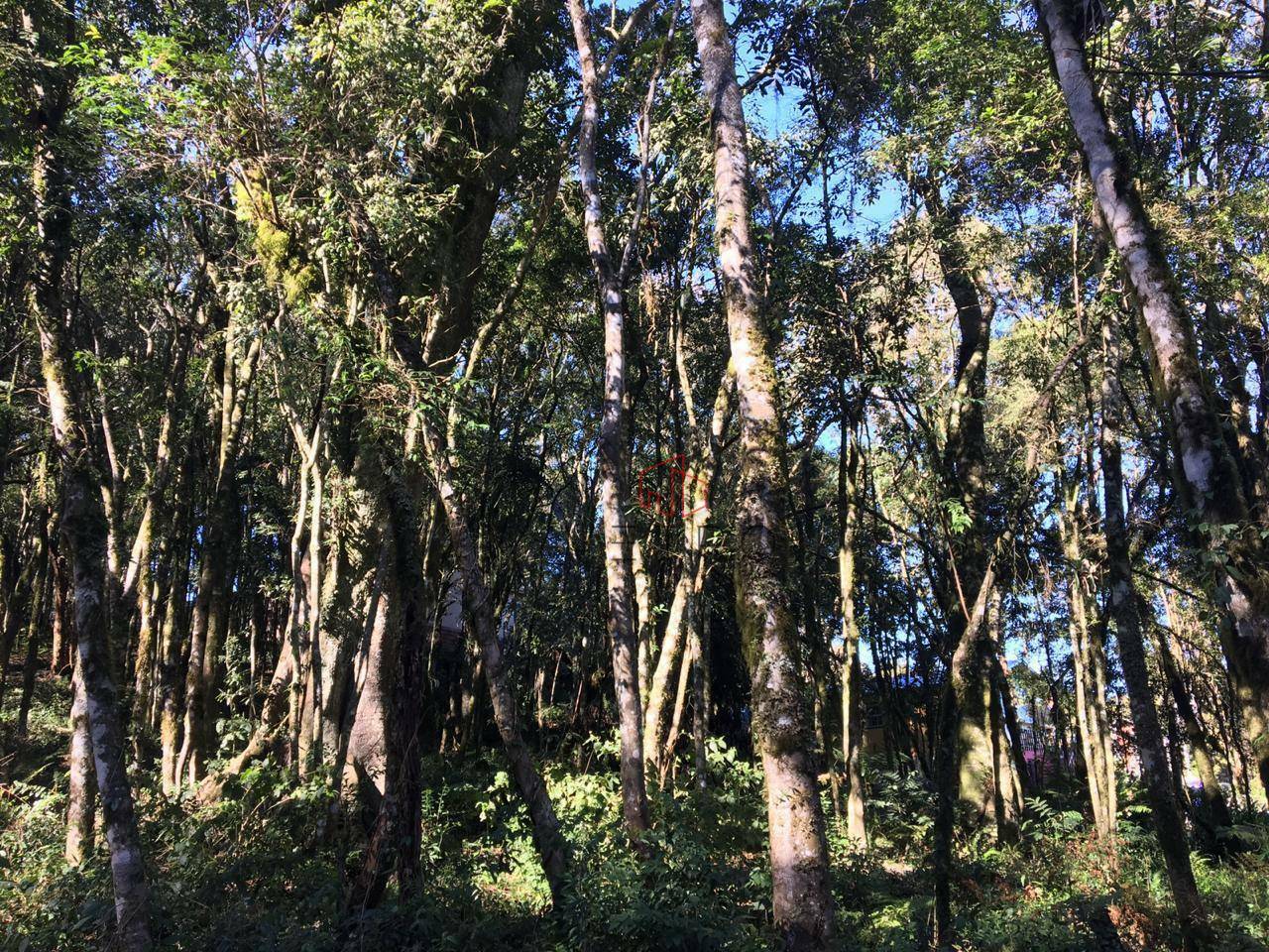 Loteamento e Condomínio à venda, 805M2 - Foto 3