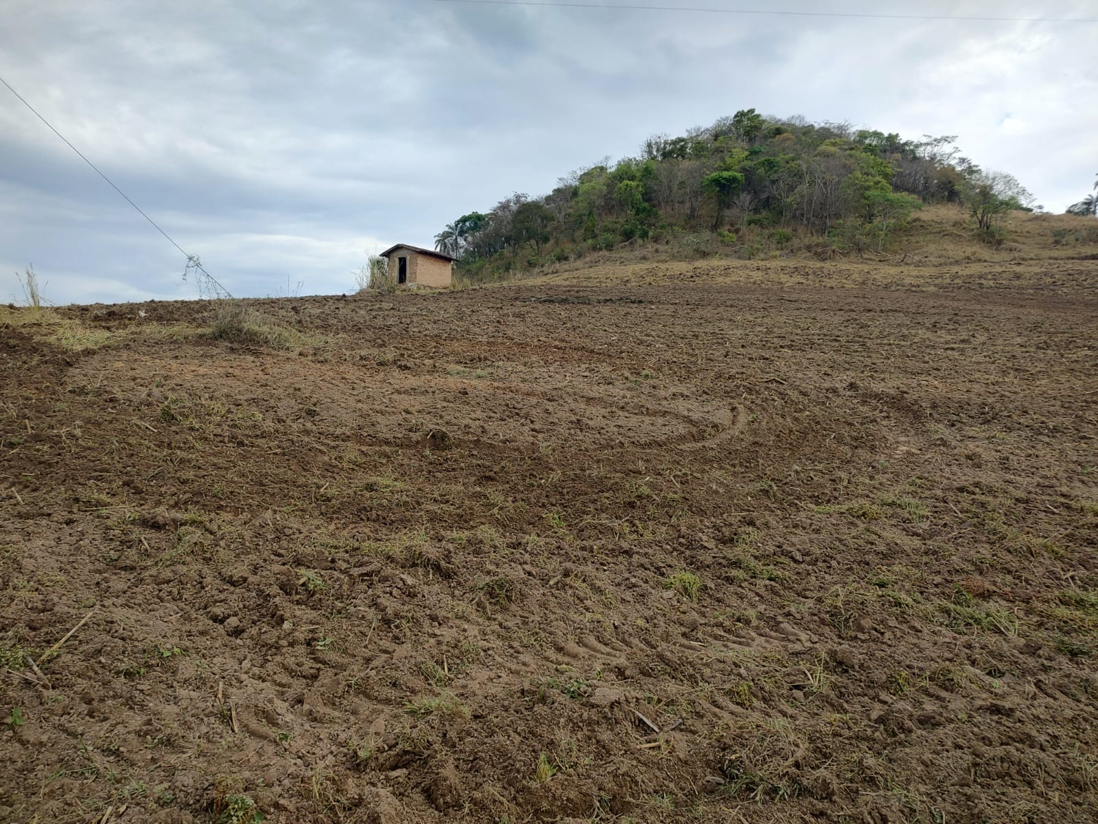 Fazenda-Sítio-Chácara, 6 hectares - Foto 3