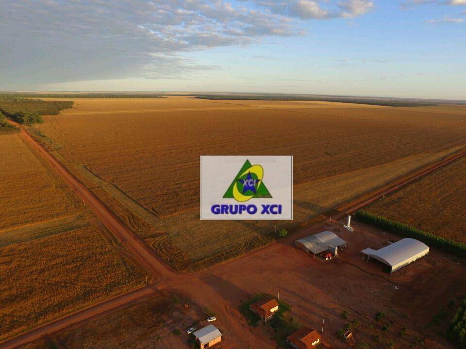 Fazenda, 4600 hectares - Foto 3