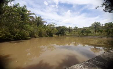 Fazenda à venda com 5 quartos, 70000m² - Foto 5