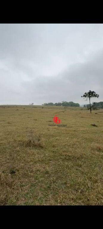 Terreno, 1 hectares - Foto 5