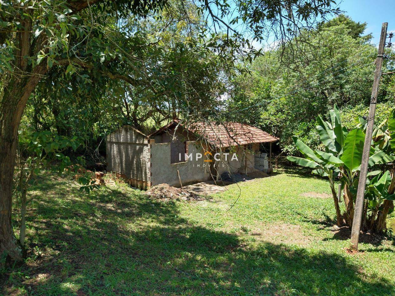 Sítio à venda com 3 quartos, 58000M2 - Foto 146