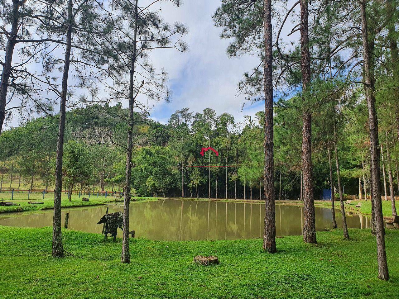 Sítio à venda com 3 quartos, 55429M2 - Foto 3