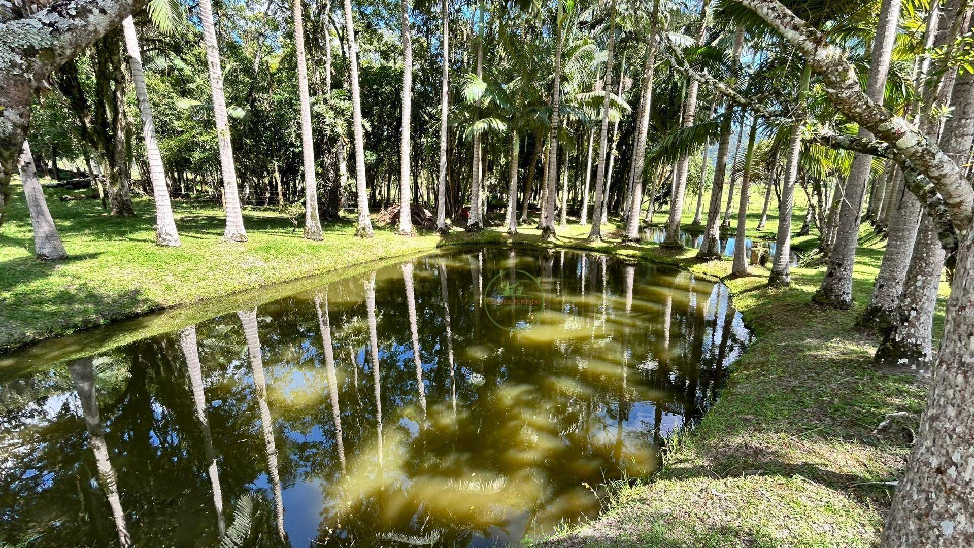 Chácara, 2 hectares - Foto 93