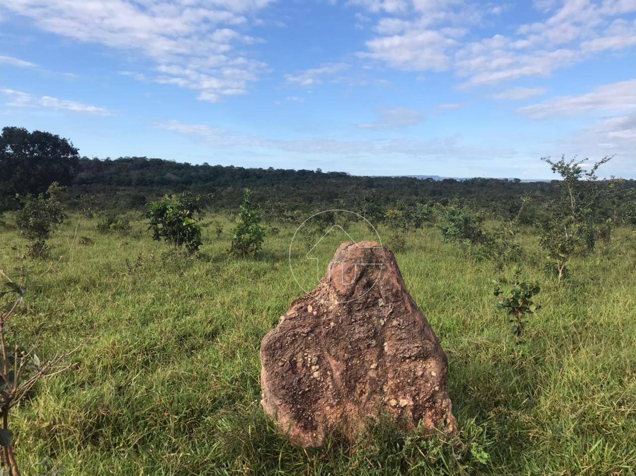 Fazenda à venda, 37930000M2 - Foto 13