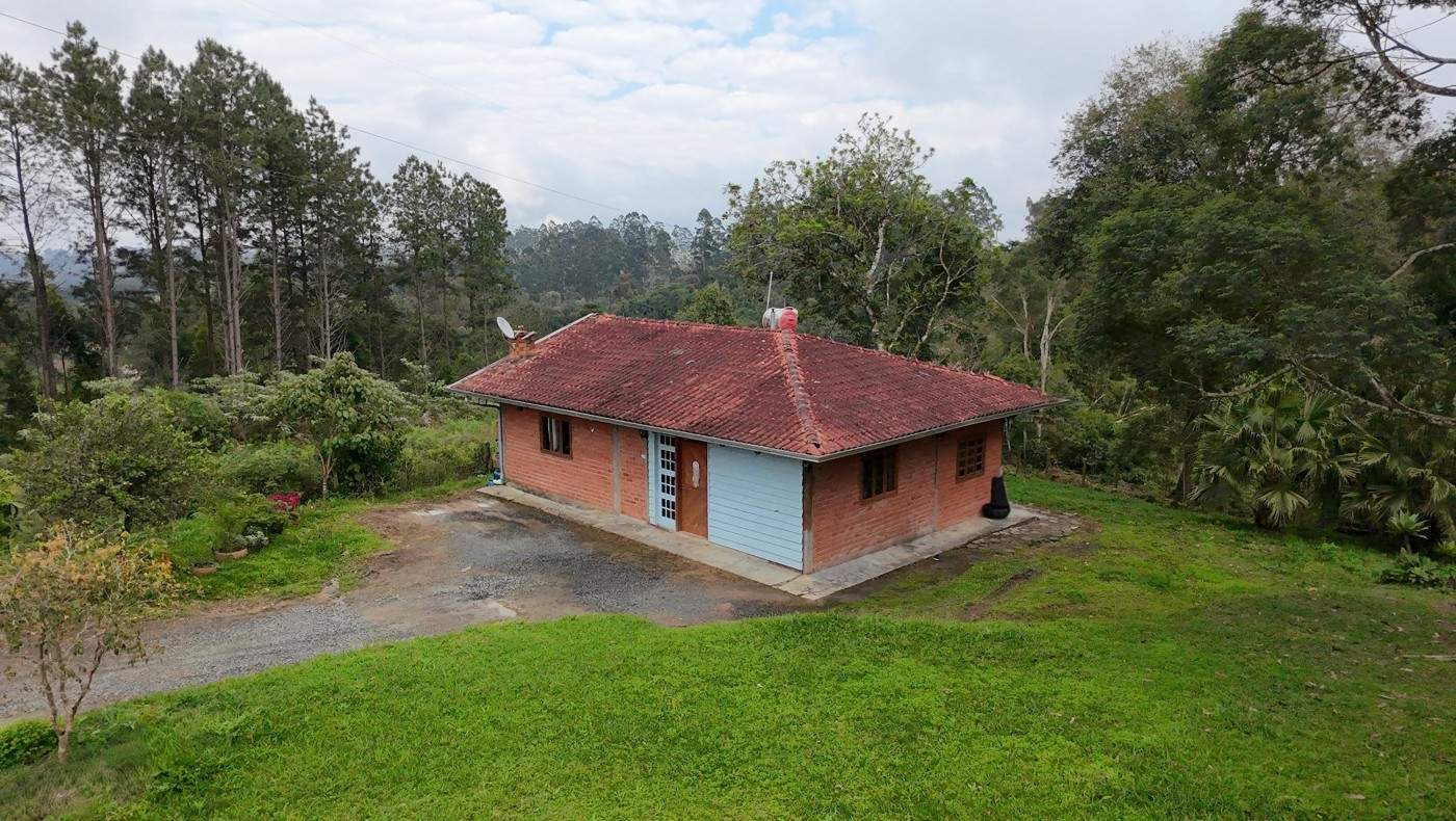 Sítio, 3 quartos, 3 hectares - Foto 18