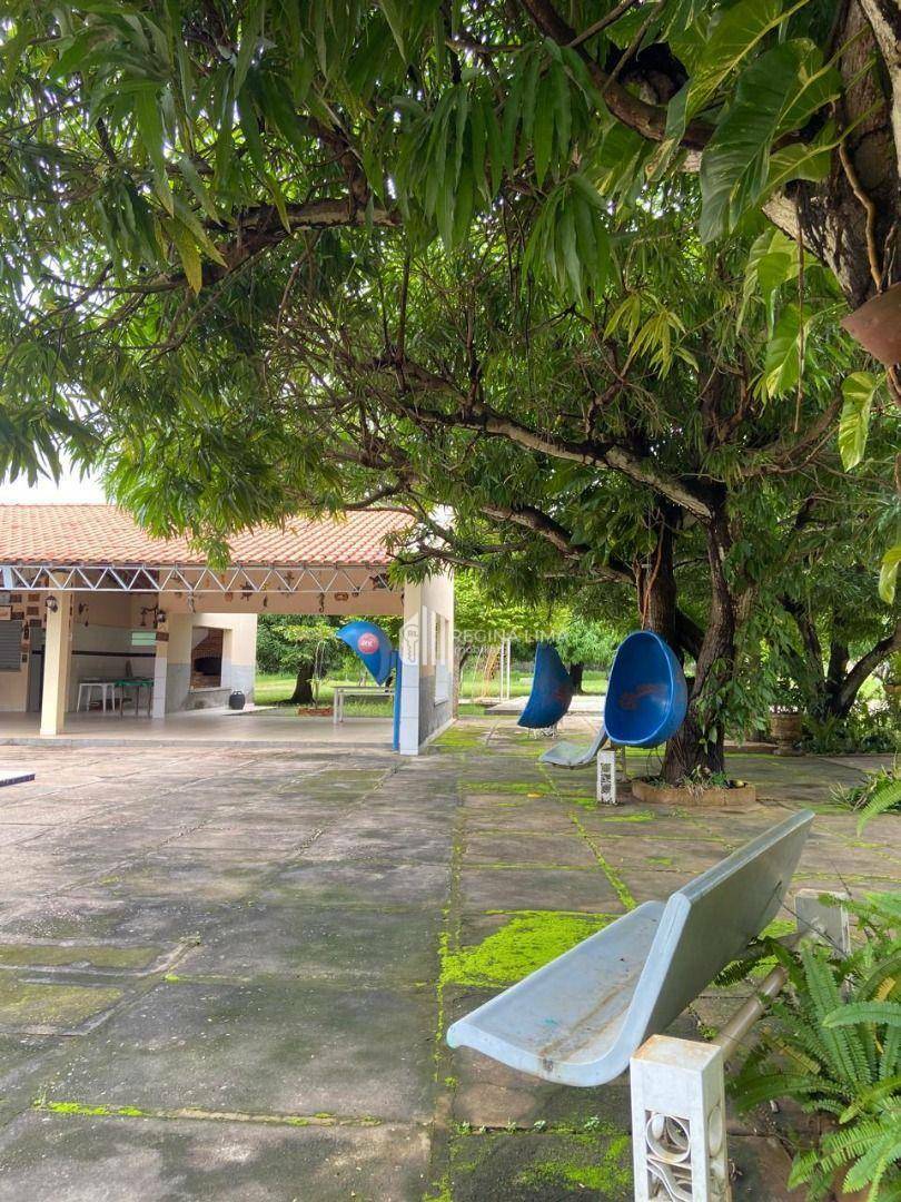 Sítio à venda com 4 quartos, 25600M2 - Foto 18
