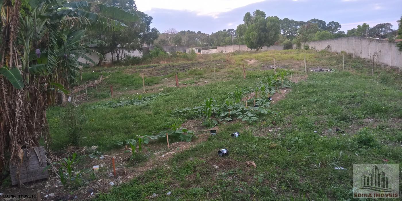 Terreno à venda, 4300m² - Foto 4