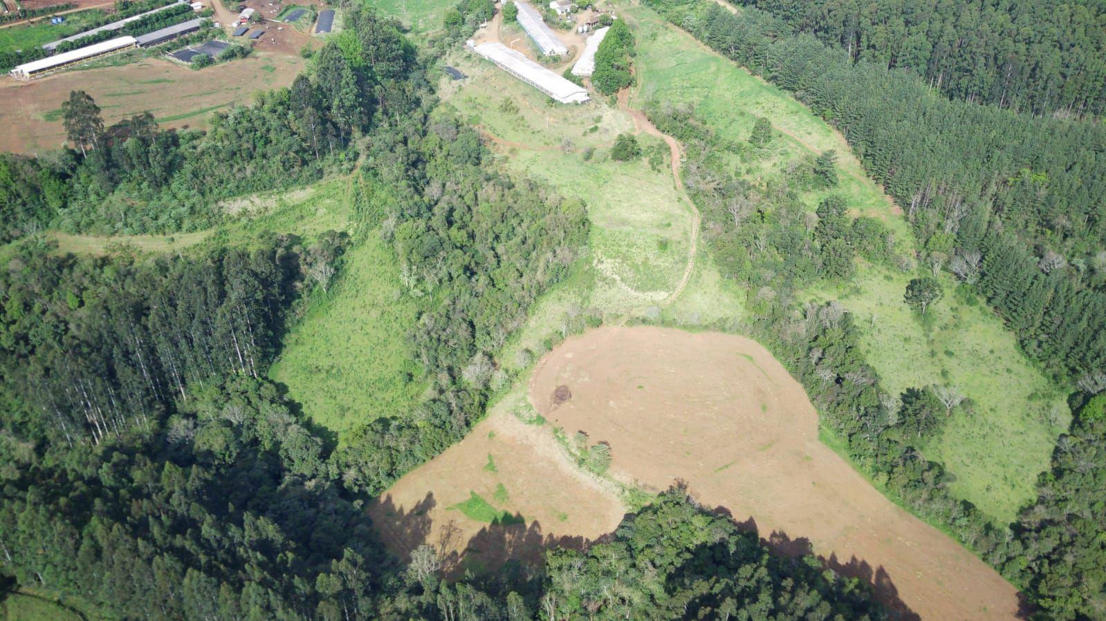 Fazenda à venda, 160000m² - Foto 9