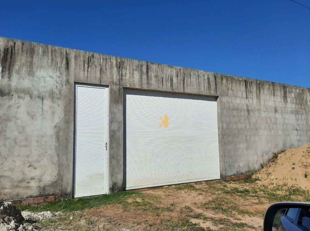 Chácara à venda com 4 quartos, 900M2 - Foto 8