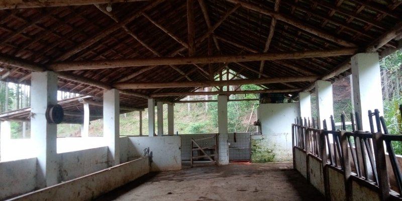 Fazenda à venda, 120m² - Foto 35