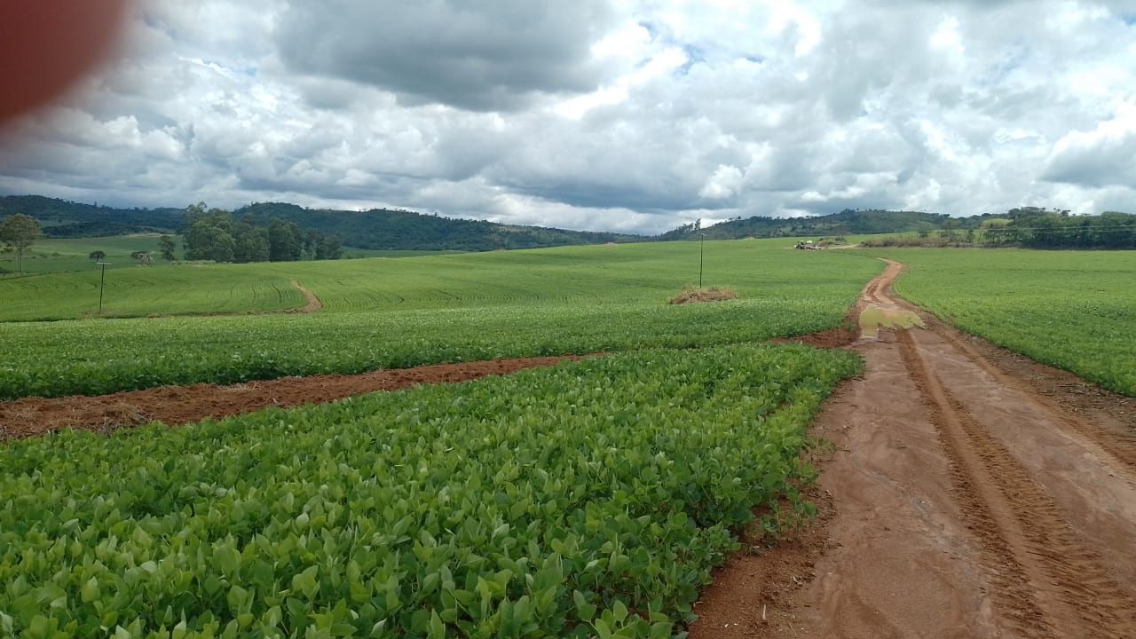 Fazenda à venda, 1815000M2 - Foto 6