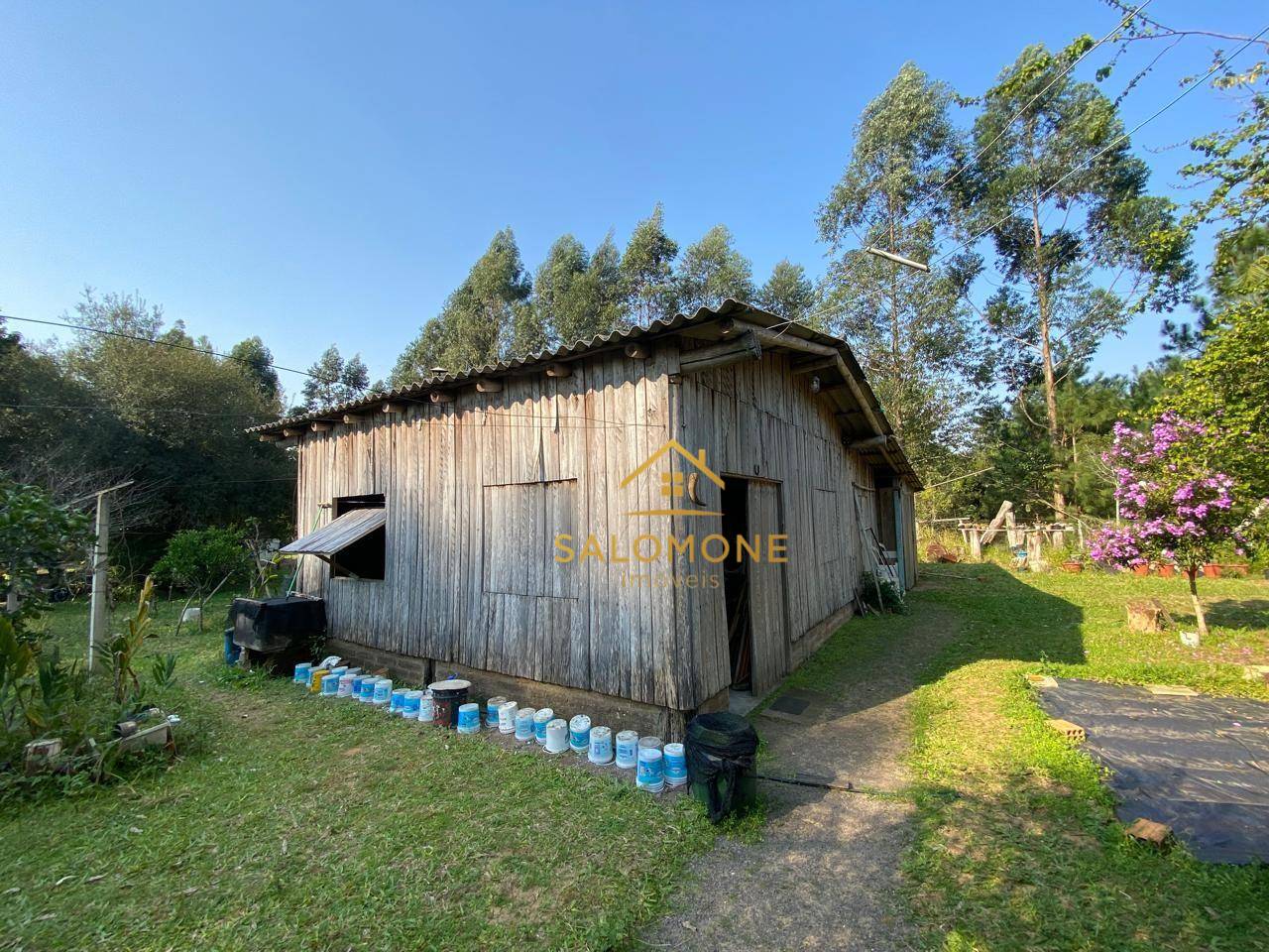 Sítio, 3 quartos, 5000 m² - Foto 3