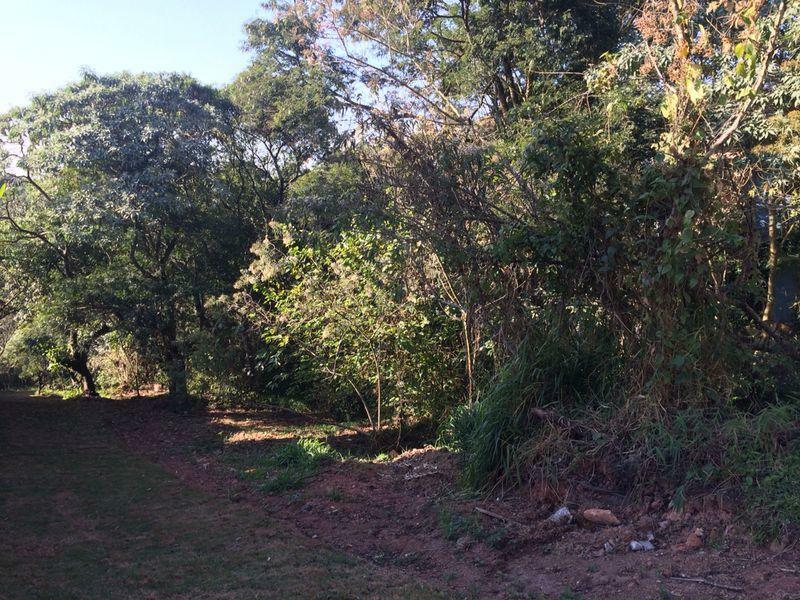 Loteamento e Condomínio à venda, 1000m² - Foto 1