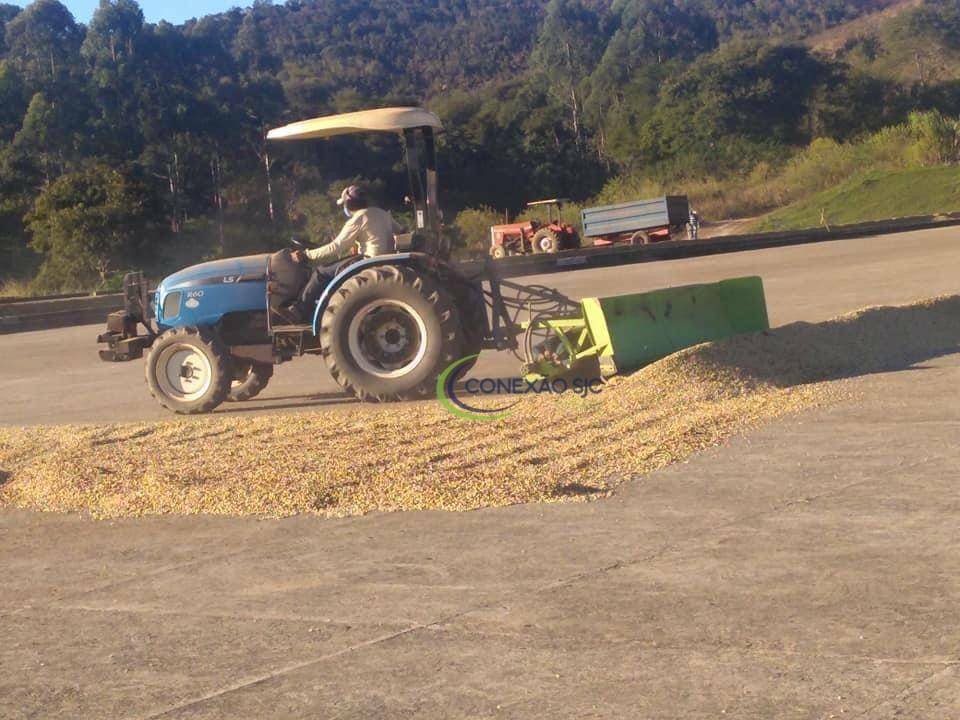 Fazenda à venda com 4 quartos, 47139180M2 - Foto 6