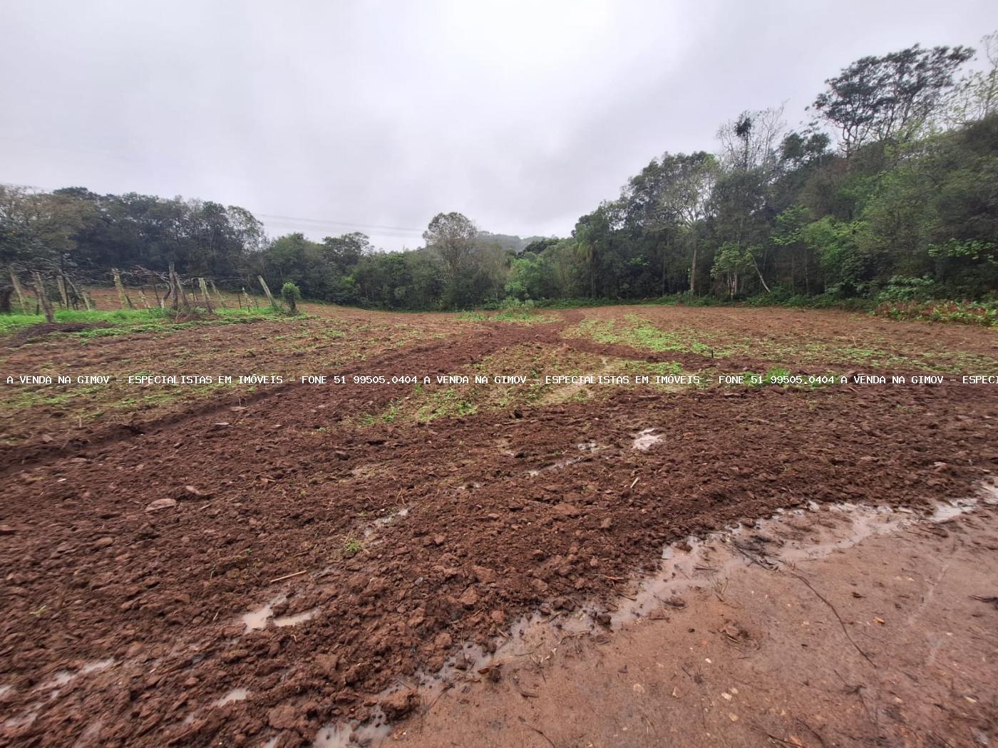 Fazenda à venda com 2 quartos, 141000m² - Foto 11