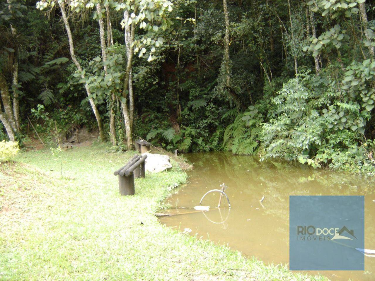 Chácara, 4 quartos, 1000 m² - Foto 28