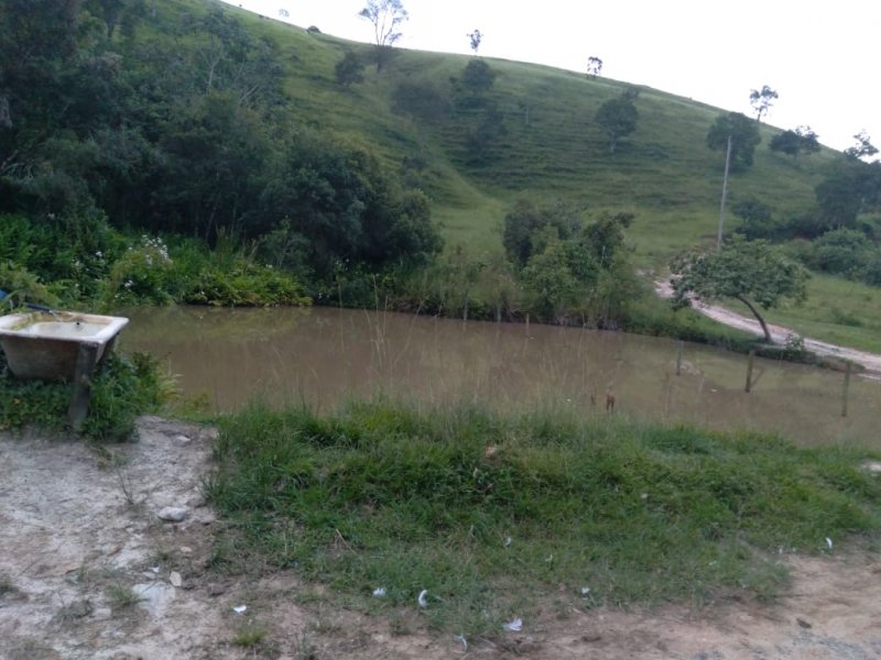 Fazenda à venda com 2 quartos, 100m² - Foto 6