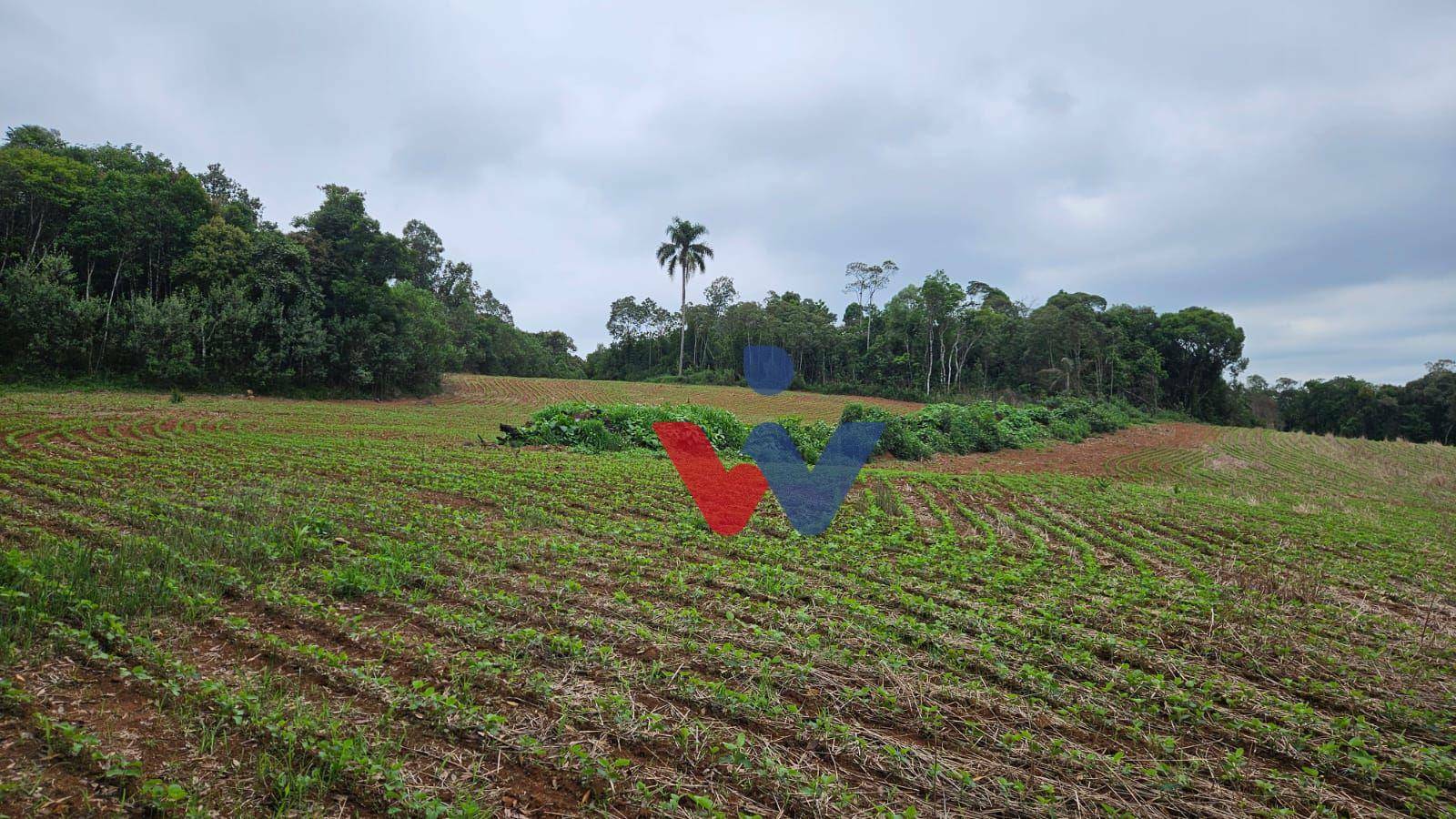 Fazenda à venda com 3 quartos, 1694000M2 - Foto 25