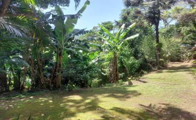 Fazenda à venda com 3 quartos, 100000m² - Foto 12