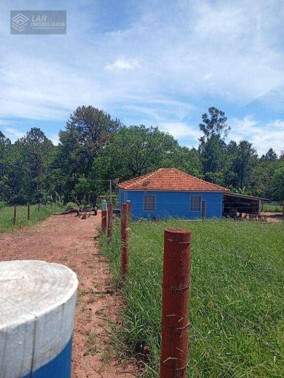 Terreno, 4 hectares - Foto 13