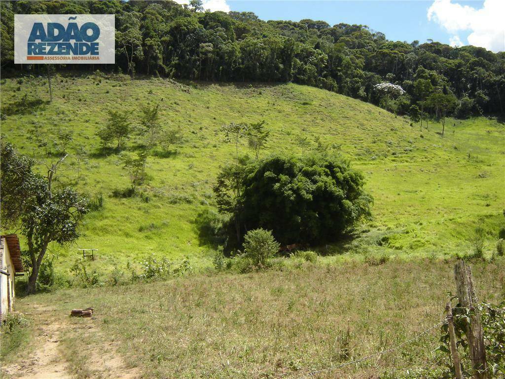 Fazenda à venda com 4 quartos, 1150000M2 - Foto 40