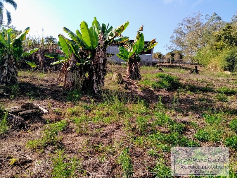 Fazenda à venda com 2 quartos, 2000m² - Foto 12