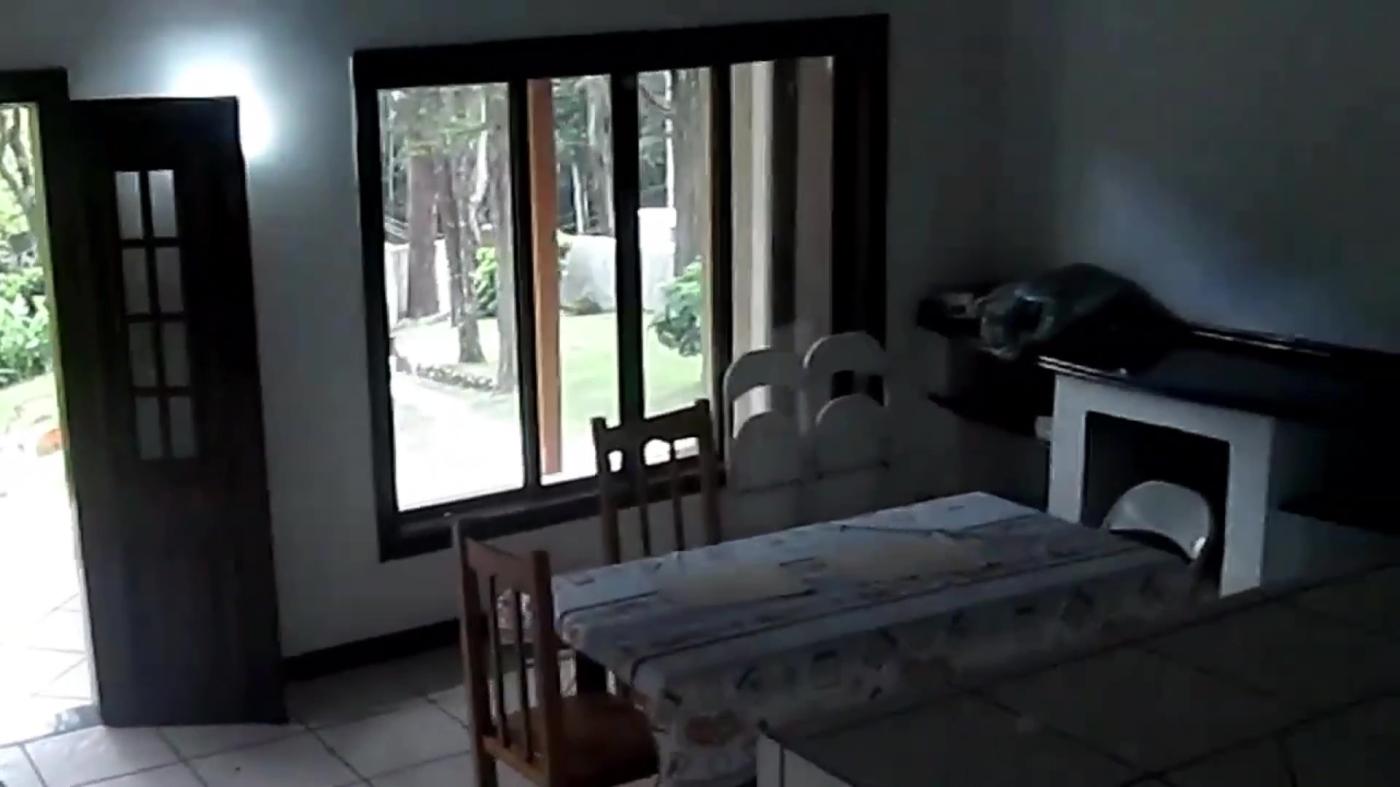Chácara à venda com 4 quartos, 4000m² - Foto 15