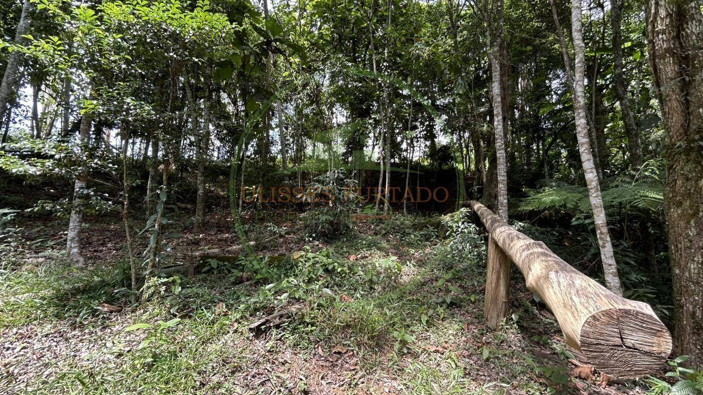 Sítio, 24 m² - Foto 33