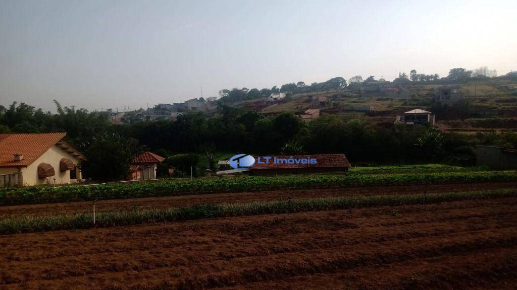 Chácara, 2 quartos, 2 hectares - Foto 4