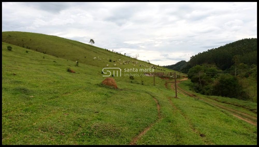 Fazenda-Sítio-Chácara, 157 hectares - Foto 3