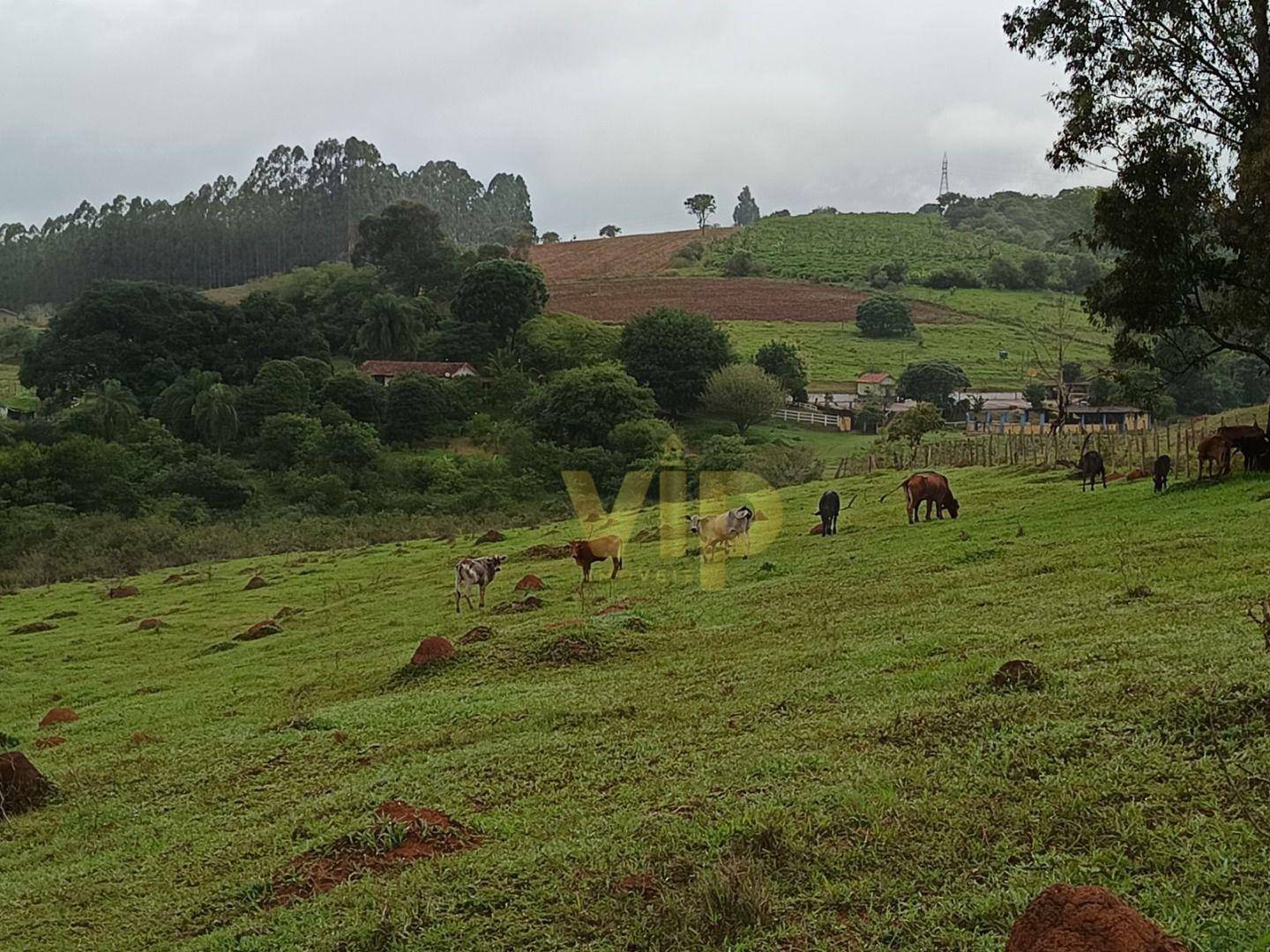 Terreno à venda, 145200M2 - Foto 2