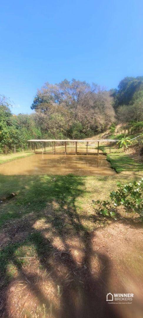 Sítio, 2 quartos, 4 hectares - Foto 1