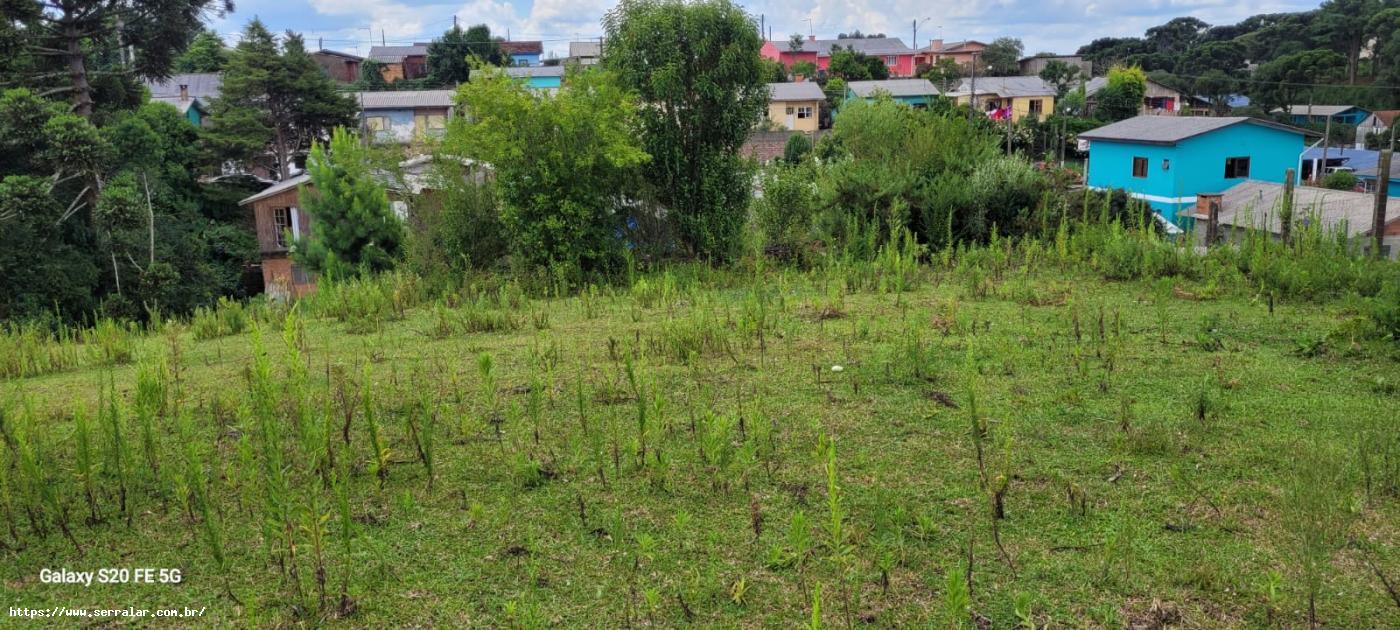 Terreno à venda, 5000m² - Foto 2