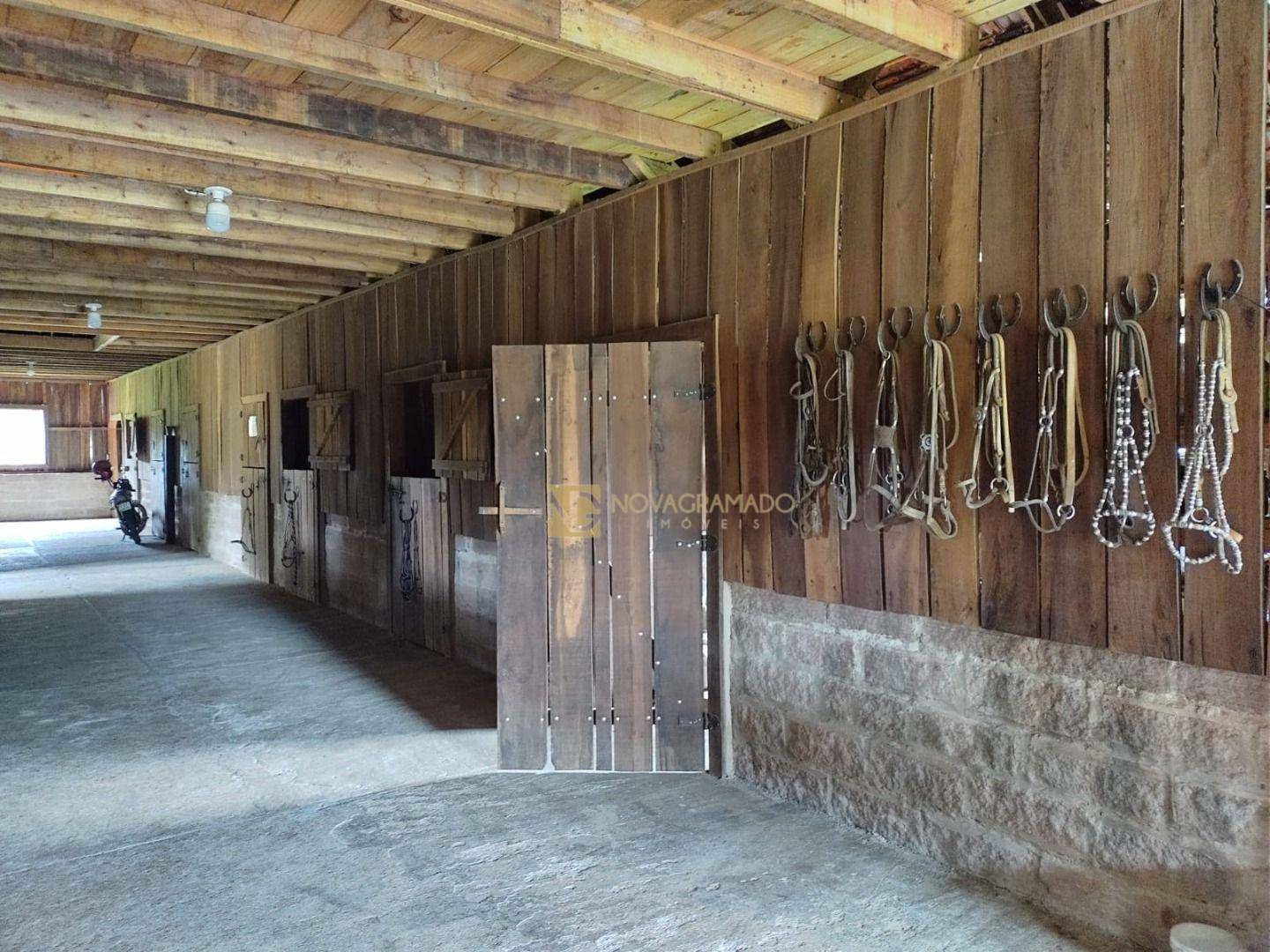 Sítio, 3 quartos, 4 hectares - Foto 24